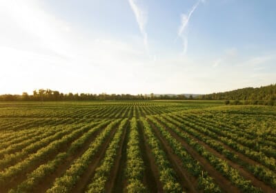farm insurance in ontario morison insurance brokers