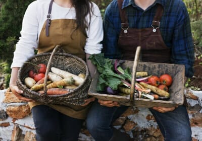 farm insurance morison insurance ontario